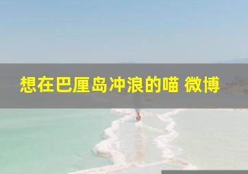 想在巴厘岛冲浪的喵 微博